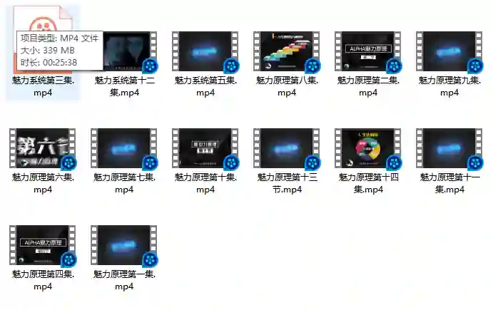 柯李思chris 良叔《魅力原理》-九觉情感社