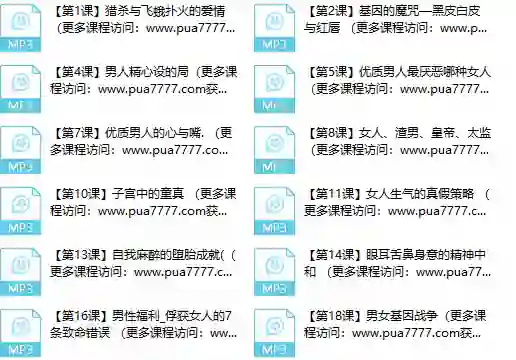 甄琦学长《成功男人的情感刚需》-九觉情感社