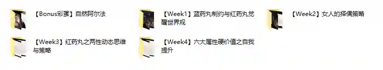 AB《红丸觉醒纪元》-九觉情感社