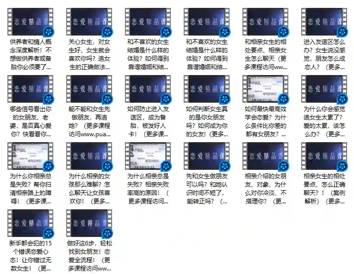 婚恋攻略2.0-九觉情感社