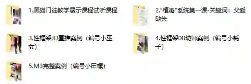 黑猫门徒核心课-九觉情感社