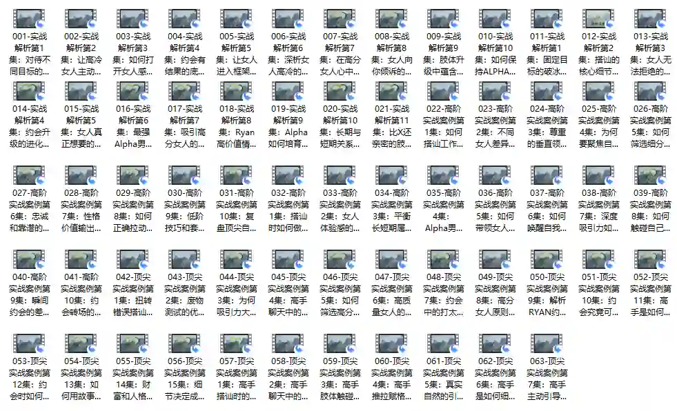 价值12800 瑞恩自然之道plus【完结】-九觉情感社