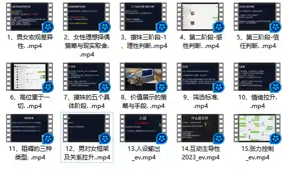 Leon情感5.0-九觉情感社