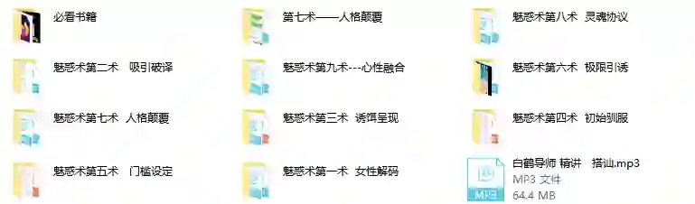 男魅情感《魅惑术》-九觉情感社