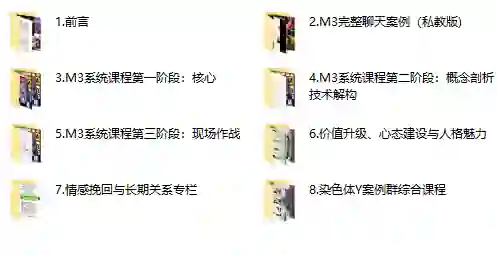 黑猫《终身制M3系统私教内部课程》-九觉情感社